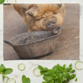 Vetvarkens Theedoek (Gevouwen)