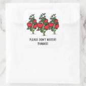 Veuillez ne pas arroser les autocollants - tomates (Sac)