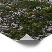 VH-92A PATRIOT MARINE ONE POSTER (Hoek)