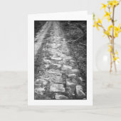 VIA ROMANA KAART (Gele Bloem)