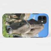 Viande de vache iPhone 5 coque (Dos (Horizontal))