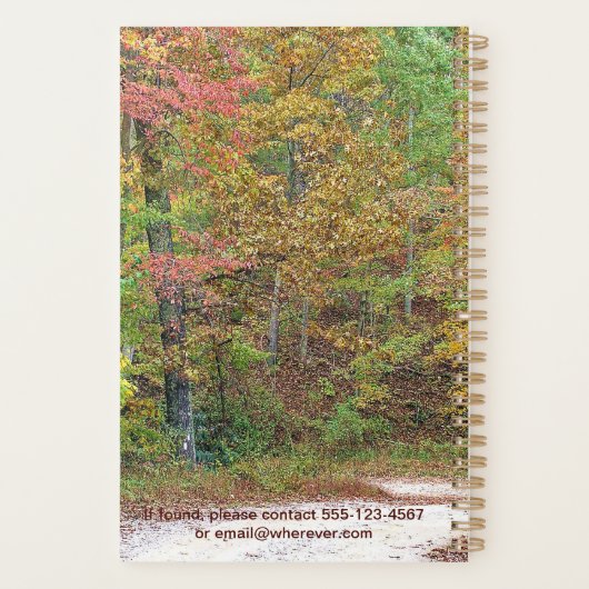 Vibrant Automne Quitte Mountain Road Custom (Dos)