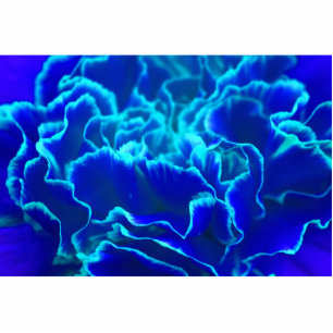 Vibrant blauw en Blauwgroen anjerventiel Fotobeeldje Magneet