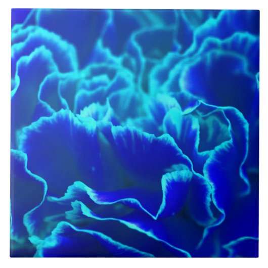 Vibrant blauw en Blauwgroen anjerventiel Tegeltje (Voorkant)