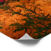 Vibrant Blossom Tree Garden Paradise View Poster (Hoek)