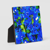 Vibrant Blue Bougainvillea Flowers Fotoplaat (Voorkant)