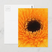 Vibrant Briefkaart (Voorkant / Achterkant)