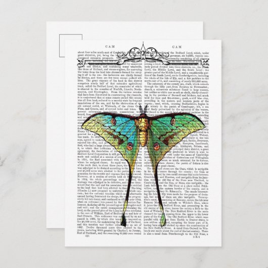 Vibrant Butterfly Briefkaart (Voorkant / Achterkant)