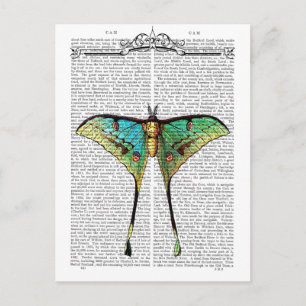 Vibrant Butterfly Briefkaart