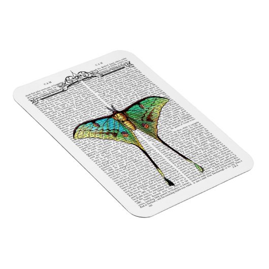 Vibrant Butterfly Magneet (Rechterzijde)