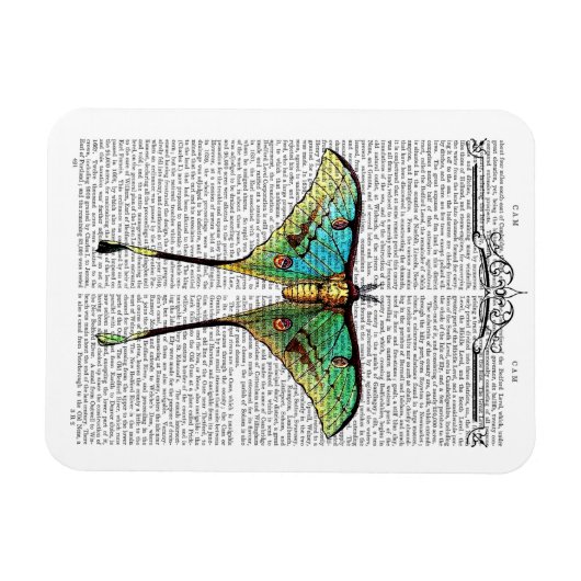 Vibrant Butterfly Magneet (Horizontaal)