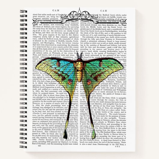 Vibrant Butterfly Notitieboek (Voorkant)