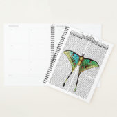 Vibrant Butterfly Planner (Display)