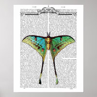 Vibrant Butterfly