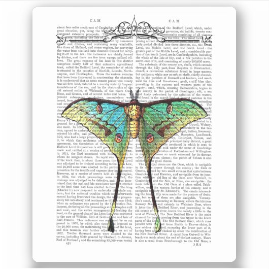 Vibrant Butterfly Sticker (Voorkant)