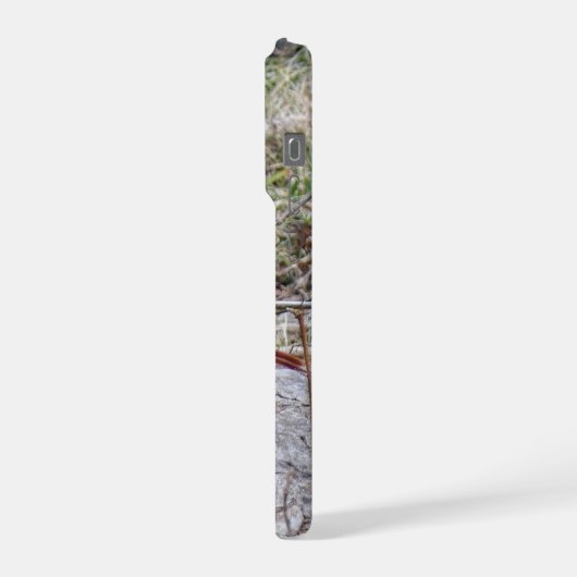 Vibrant Cardinal (Côté gauche)