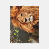 Vibrant colourful Close-up Lion picture Fleece Deken (Voorkant)