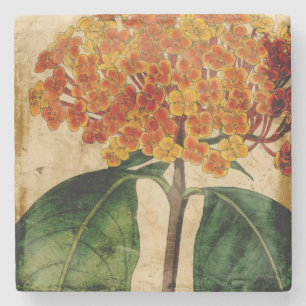 Vibrant Floral I Stenen Onderzetter