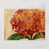 Vibrant Floral III Briefkaart (Voorkant)