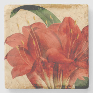 Vibrant Floral VIII Stenen Onderzetter