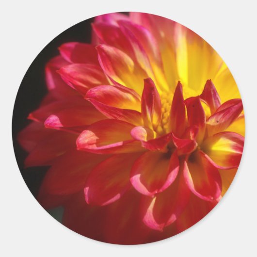 Vibrant Flower Sticker (Voorkant)
