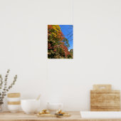 Vibrant gekleurde mazelen poster (Keuken)