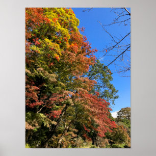 Vibrant gekleurde mazelen poster