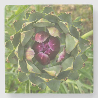 Vibrant Green and Purple Tuscan Artichoke Stenen Onderzetter