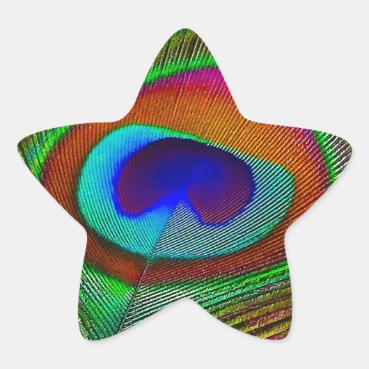 Vibrant koperen doezelaar ster sticker (Voorkant)