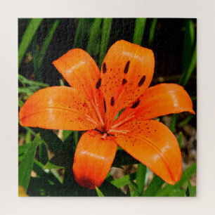 Vibrant oranje Aziatische Lily Flower Legpuzzel