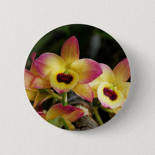 Vibrant Orchid Pin Button (Voorkant)