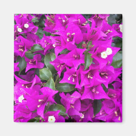 Vibrant Paars Bougainvillebloemen Magneet