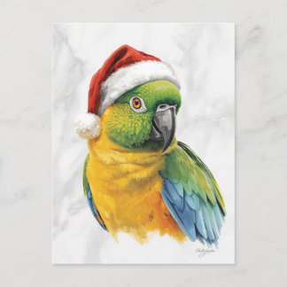 Vibrant Parrot Portrait in Santa Hat Feestdagenkaart