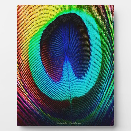 Vibrant Peacock Feather Fotoplaat (Voorkant)