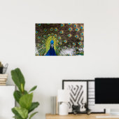 Vibrant Peacock Feathers Poster (Thuiskantoor)