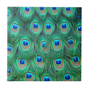 Vibrant Peacock Feathers Tegeltje