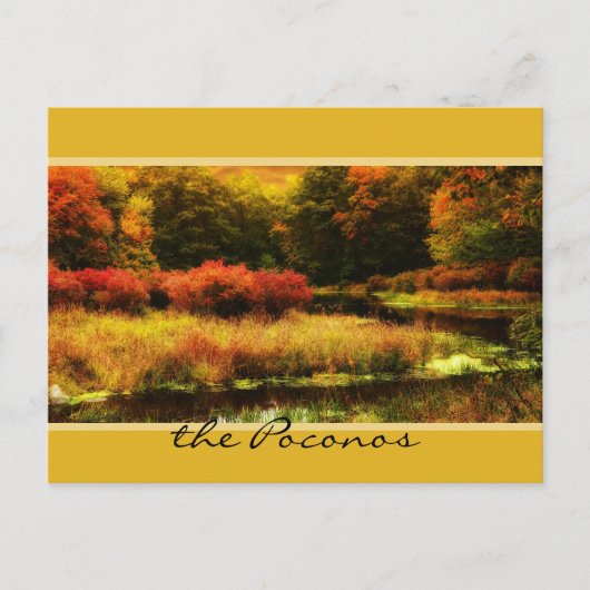 Vibrant Poconos Autumn Scene Briefkaart (Voorkant)