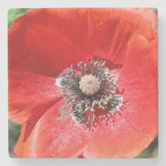 Vibrant Red Macro Botanical Poppy Floral Stenen Onderzetter
