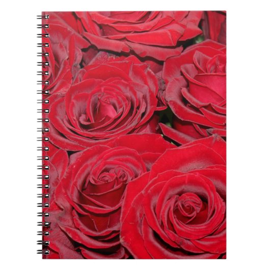 Vibrant Red Roses Notitieboek (Voorkant)