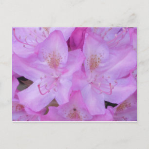 Vibrant roze Briefkaart