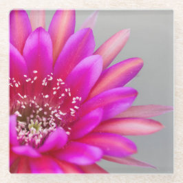 Vibrant roze cactus ventilatorbenzine glazen onderzetter