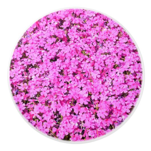 Vibrant Roze Floral Keramische Knop (Voorkant)