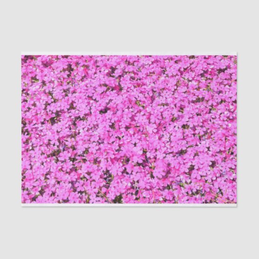 Vibrant Roze Floral Tissuepapier (Voorkant)