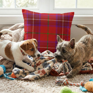 Vibrant Scottish Plaid - Rose Clan Tartan Kussen