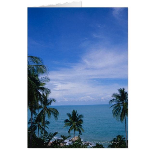 Vibrant shoreline (Voorkant)