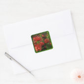 Vibrant Sinaasappel Firebush Plant Vierkante Sticker (Envelop)