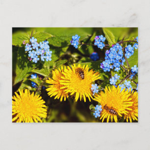 Vibrant Spring Floral Dandelion Bee Flowers Briefkaart