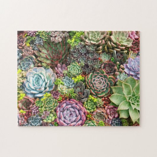 Vibrant Succulent Garden Legpuzzel (Horizontaal)