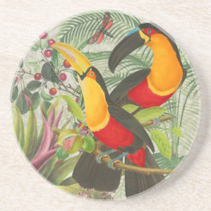 Vibrant Tropical Toucan Birds Art Exotic Oerwoud Zandsteen Onderzetter