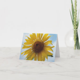 Vibrant Yellow Sunflower Flowers in Blue Sky Kaart